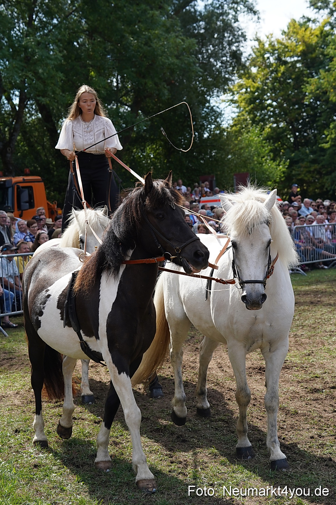 Pferde und Fohlenschau 2022 0272 